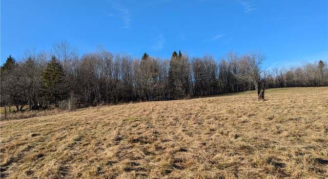 Photo of part of 1991 Kotary Rd, Lewis, NY 13325