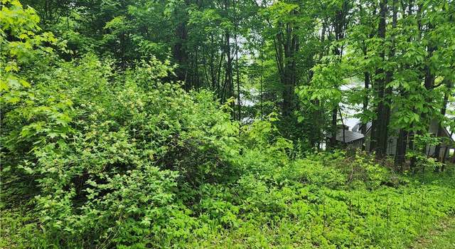 Photo of 00 Owls Nest Dr, Theresa, NY 13691