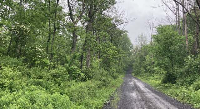 Photo of Lynch Rd, Norway, NY 13416