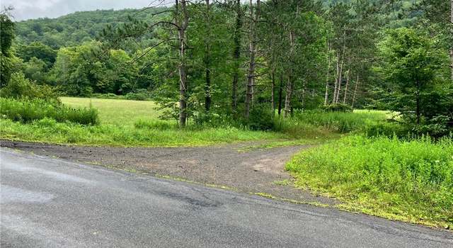 Photo of 00 Roods Creek Rd, Deposit, NY 13754