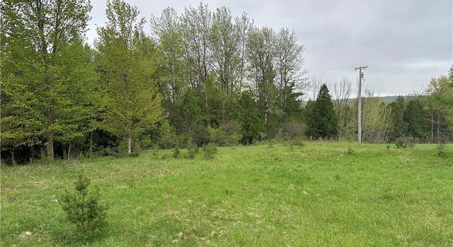 Photo of Lot 2B Nys Route 126, Champion, NY 13619
