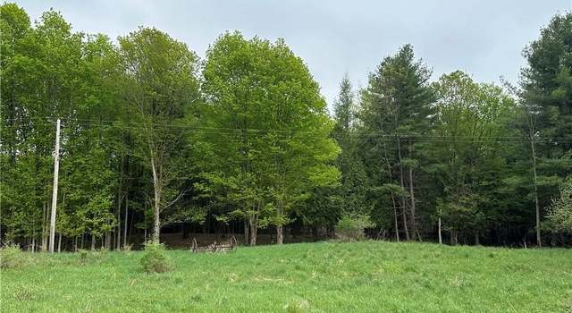 Photo of Lot 2C Nys Route 126, Champion, NY 13619