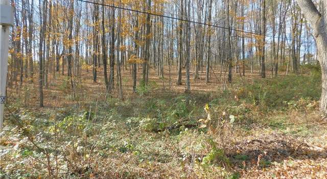 Photo of 0 Podunk Rd, Lee, NY 13440