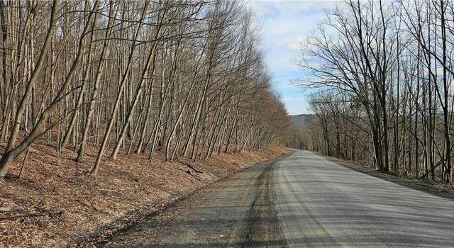 Photo of Barden Hill Rd, Richford, NY 13835