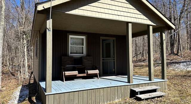 Photo of 13477 Power Line Dr, Diana, NY 13648