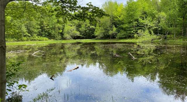 Photo of White Rd, Parish, NY 13131