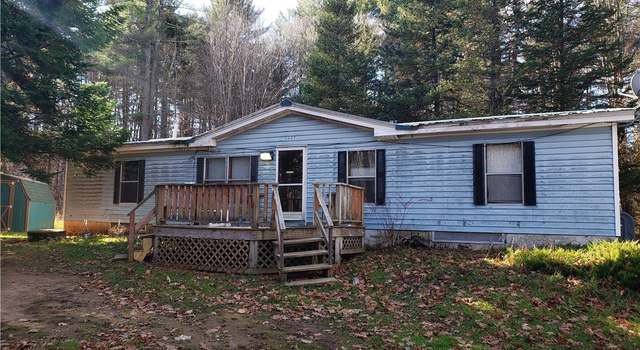 Photo of 3447 North South Rd, Lyonsdale, NY 13433
