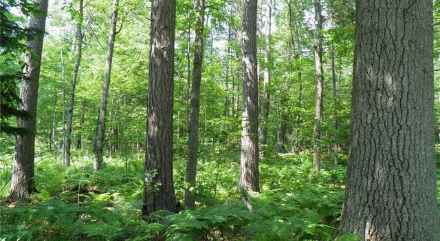 Photo of 0 Silver Lake Rd, Black Brook Twp, NY 12997
