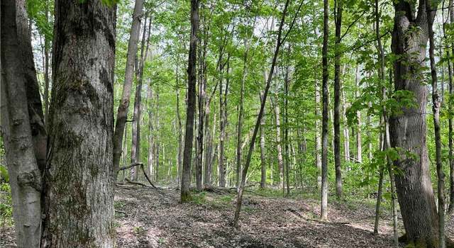 Photo of 9543 Cream Ridge Rd, Rushford, NY 14777