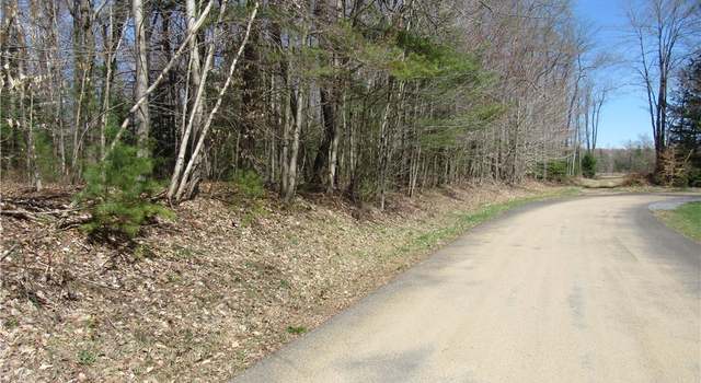Photo of Alder Rd, White Lake, NY 13494