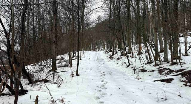 Photo of Cr-34, Wirt, NY 14739