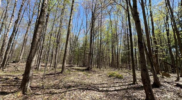 Photo of Cedar St, Lowville, NY 13367
