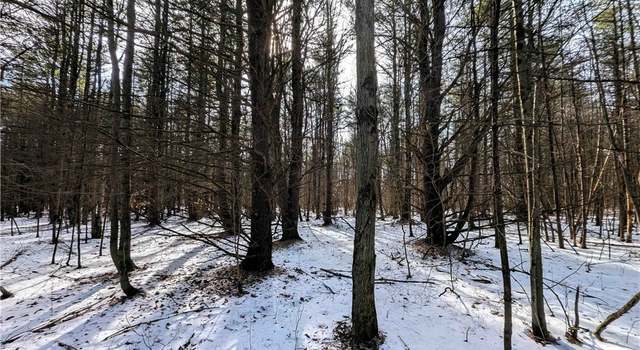 Photo of Markle Hollow Rd, Big Flats, NY 14814