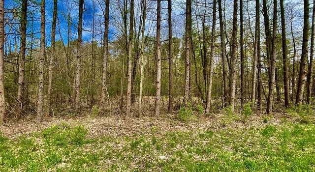 Photo of Property in Albion, NY 13302