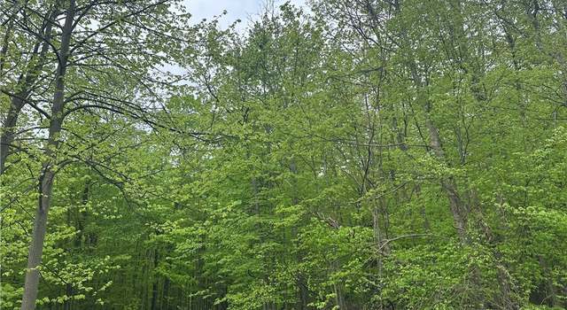 Photo of 2460 Hitchings Rd, Otisco, NY 13084
