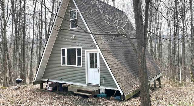 Photo of 8477 Hudson Rd, Springwater, NY 14572