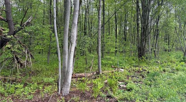 Photo of Rogers Crossing Rd, Wilna, NY 13619