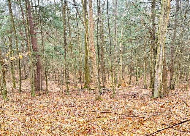 Property at 0 Sugar Hill Rd, Orange, NY 14812