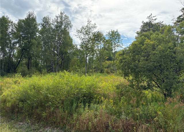 Property at Sheff Rd, New Berlin, NY 13843