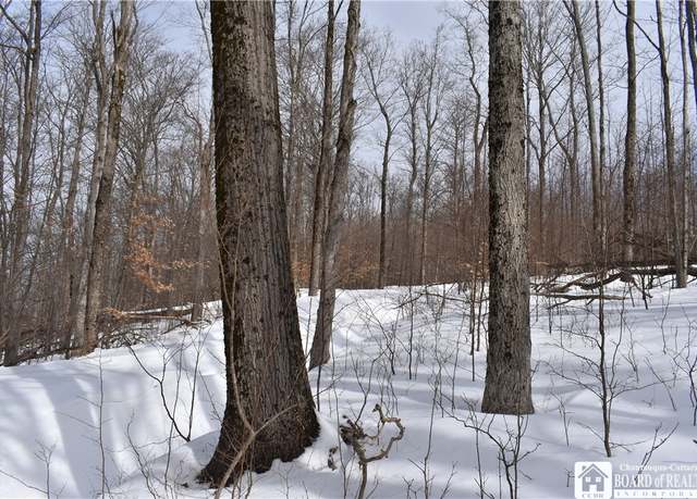 Property at 0 Morgan Holw, Franklinville, NY 14737