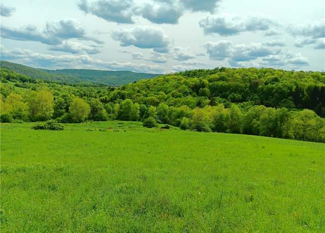 Property at 785 Kiff Brook Rd, Kortright, NY 13739