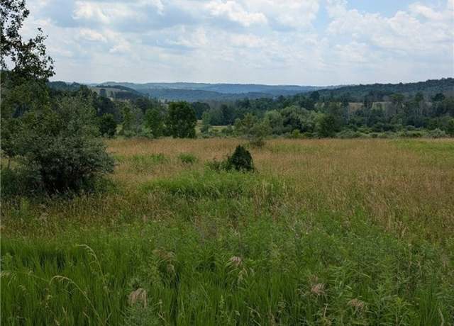 Property at 1922 Harkenrider Rd, Troupsburg, NY 14885