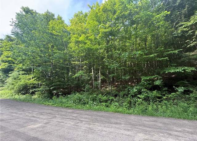 Property at 7420 Feather St, Springwater, NY 14512