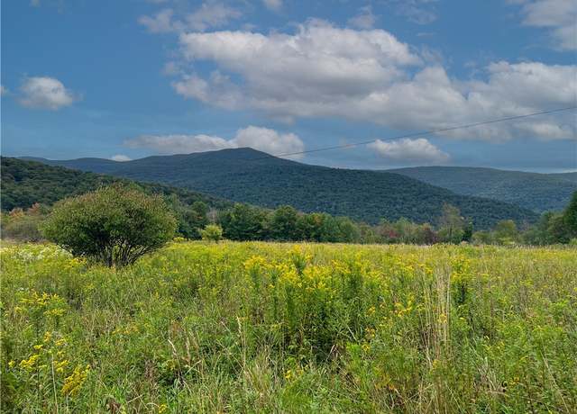 Property at Lot 4 Fairbairn Rd, Hardenburgh, NY 12455, 3 beds, 1 bath