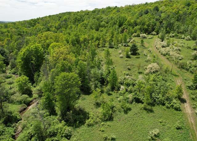 Property at Mallory Rd, Chemung, NY 14825