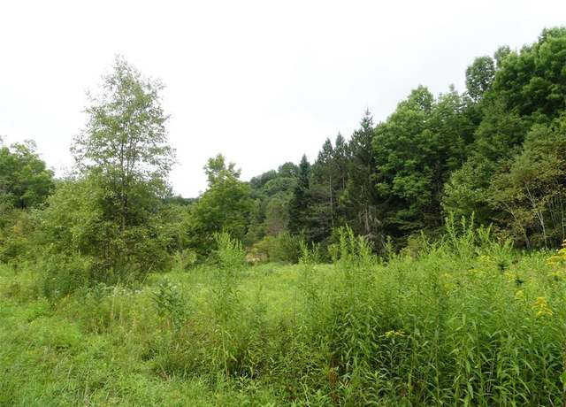Property at Lot 10.7 Fall Clove Rd, Andes, NY 13752