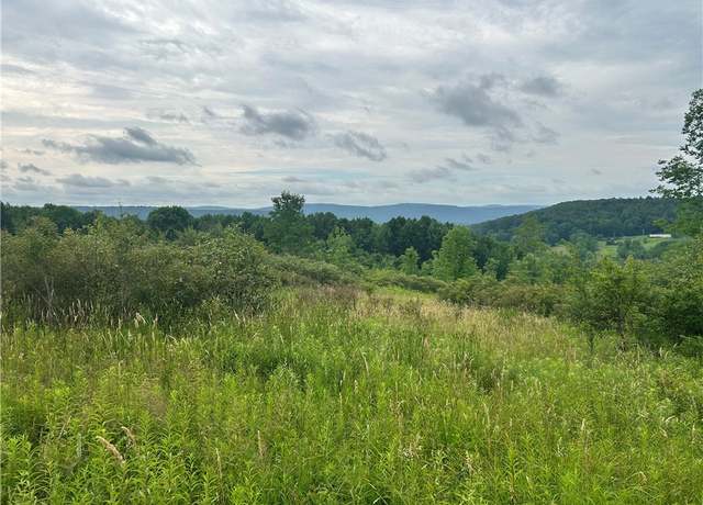 Property at Sisson Hill Rd, Unadilla, NY 13849