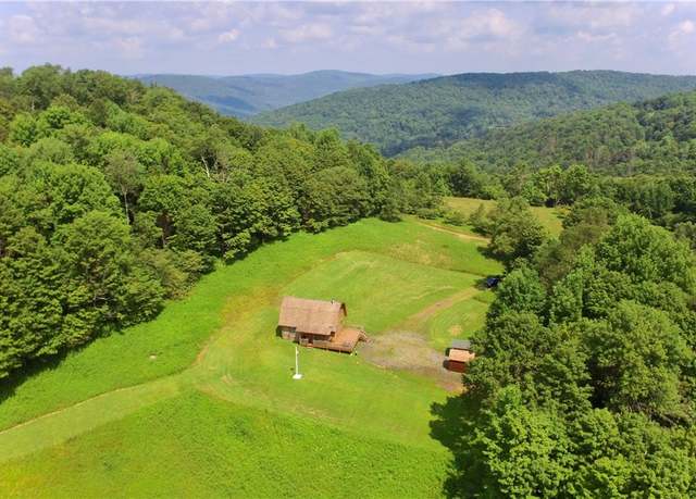Property at 4238 Baxter Mountain Rd, Colchester, NY 13755, 2 beds, 1 bath
