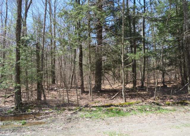 Property at Lot 15.1 Ward Loomis Rd, Oxford, NY 13830