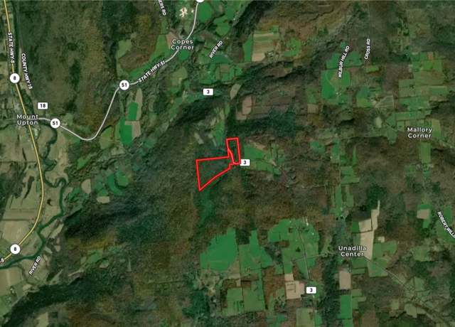 Property at 000 County Highway 3, Butternuts, NY 13843