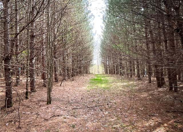 Property at W Creek Rd, Richford, NY 13835