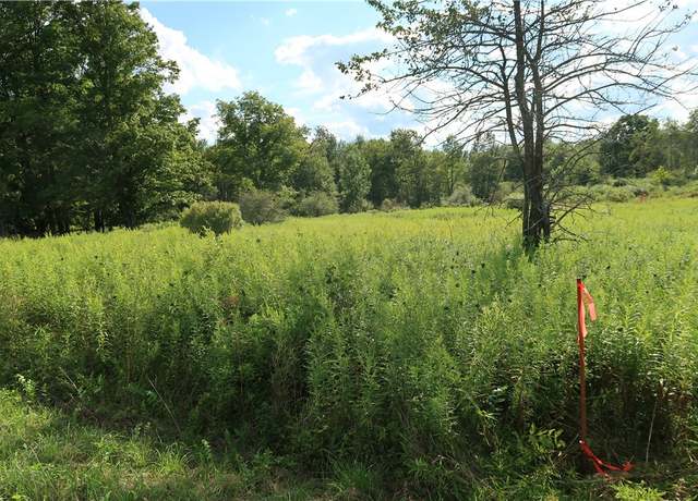 Property at Lot 4 German Rd, Willet, NY 13863