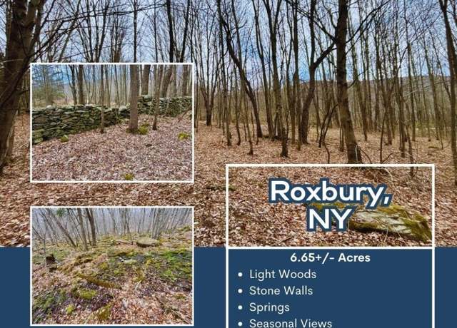 Property at Lot 43 George Lawrence Rd, Roxbury, NY 12421