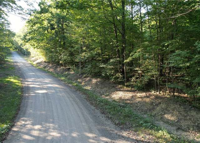 Property at Lot 2 Lockwood Run Rd E, Baldwin, NY 14902