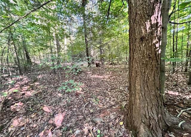 Property at Lot 3 Lockwood Run Rd E, Baldwin, NY 14902