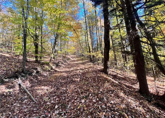 Property at 00 State Route 34, Barton, NY 13734