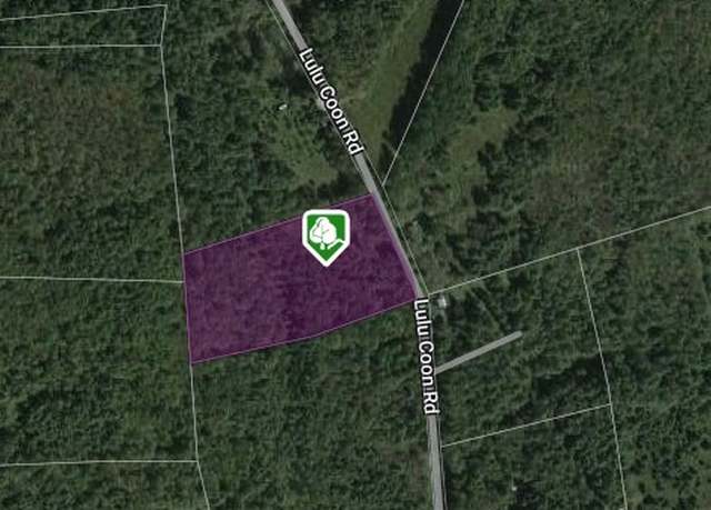 Property at 0 Lulu Coon Rd, Butternuts, NY 13776