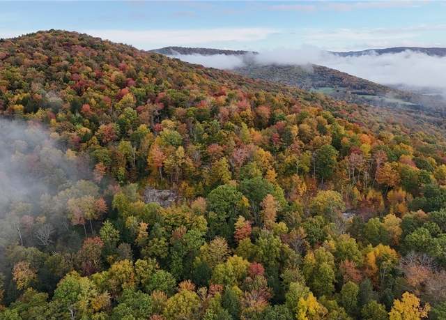 Property at Lot 28.1 Shaver Hollow Rd, Andes, NY 13731