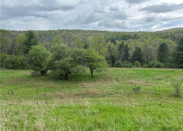 Property at 6424 State Route 417, Woodhull, NY 14801