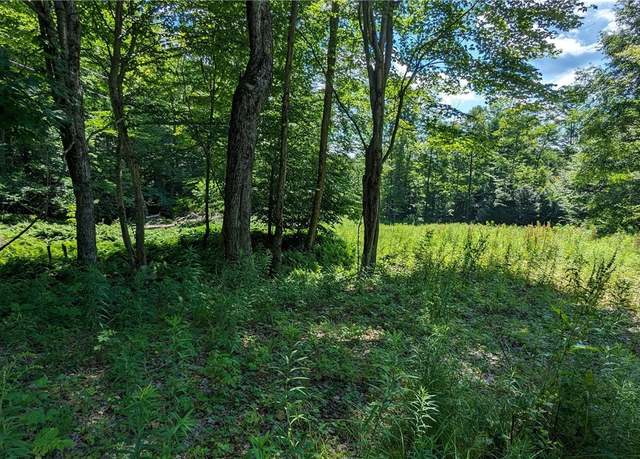 Property at 214 Larchwood Ln, Laurens, NY 13796