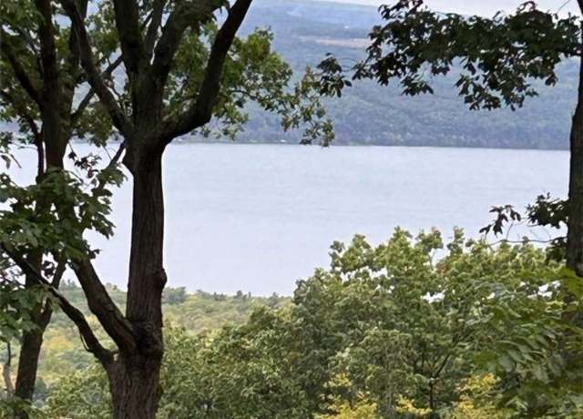 Property at 0 Satterly Hill Rd, Hector, NY 14818