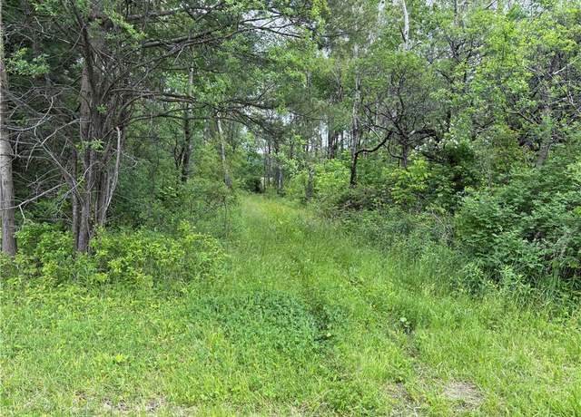 Property at 0 County Road 23, Reading, NY 14891