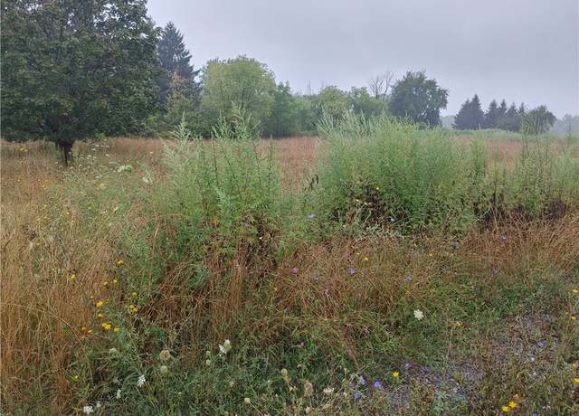 Property at 0 Lake Rd, Sweden, NY 14420