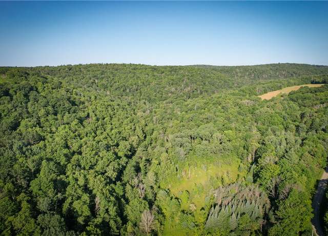 Property at Williams Rd, Candor, NY 13743