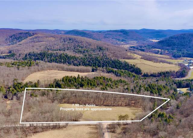 Property at Hamden Hill Rd, Delhi, NY 13753
