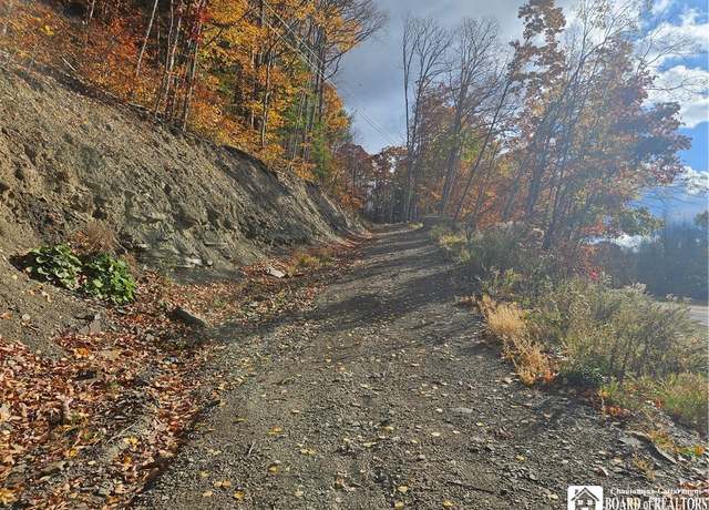 Property at 0 Bone Run Rd, South Valley, NY 14783